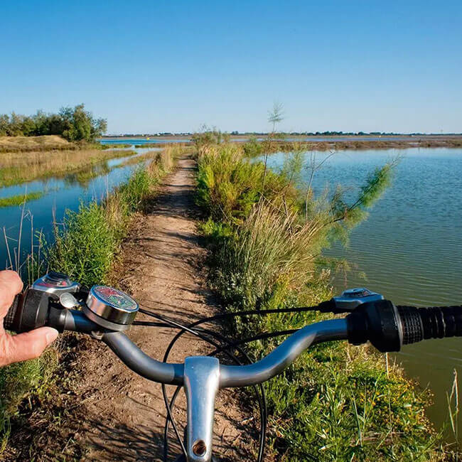 jesolo-e-bike